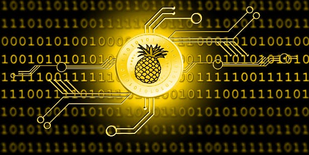 Bitcoin's Anonymous $55 Million Pineapple Fund Gives Final Donation