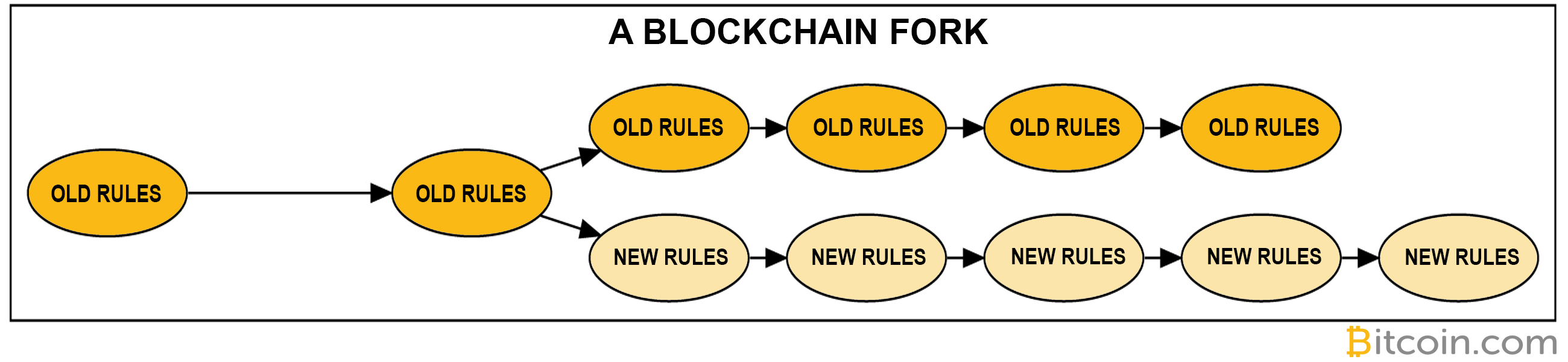 A Simple Guide to What Bitcoin Forks Are and Why They Happen