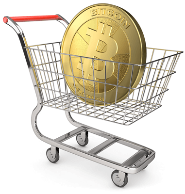 The Bitcoin Store: Tending to the Needs of the Emerging Crypto-Culture